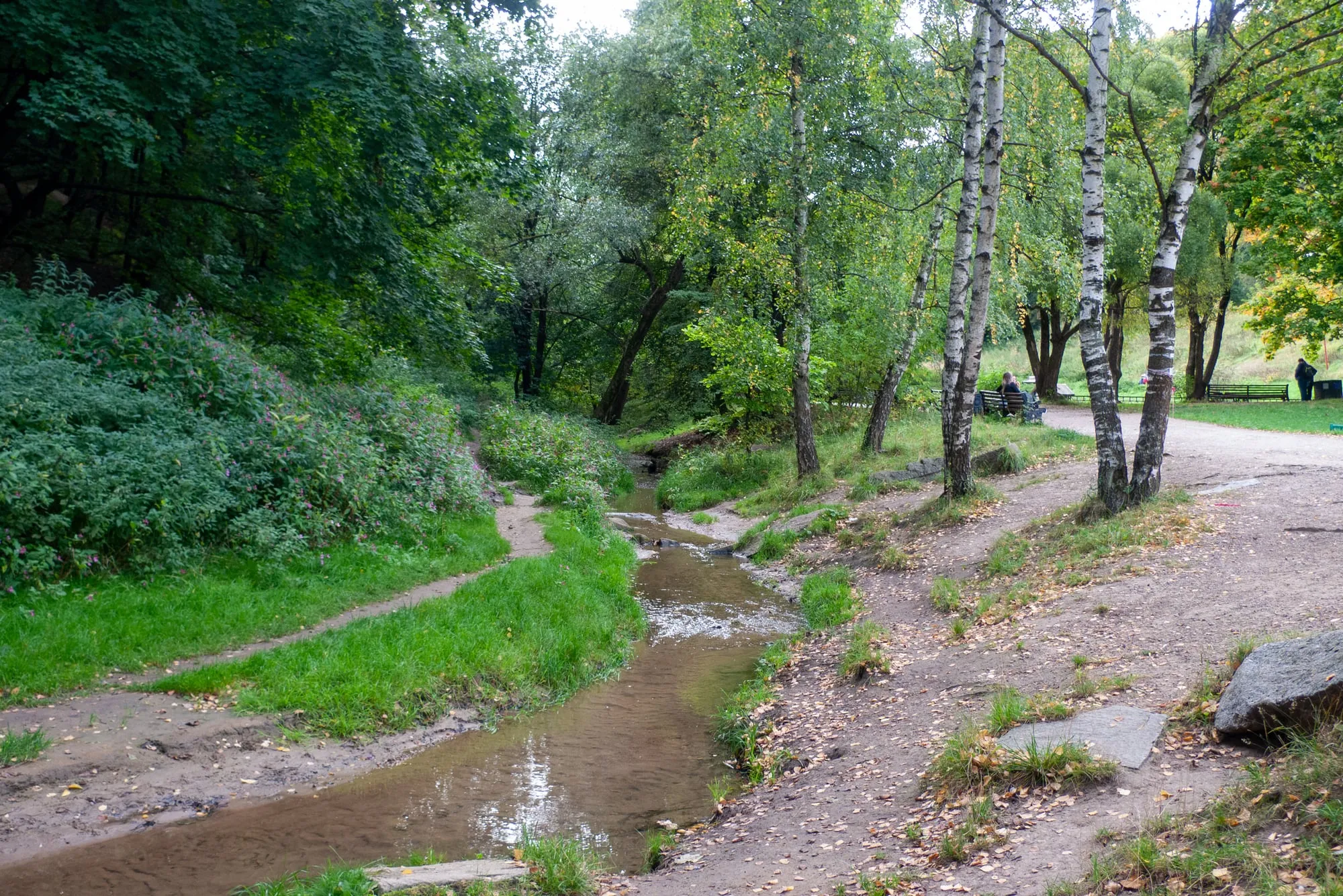 Ручей в Голосовом овраге в Коломенском, берёзы и валуны вдоль тропы